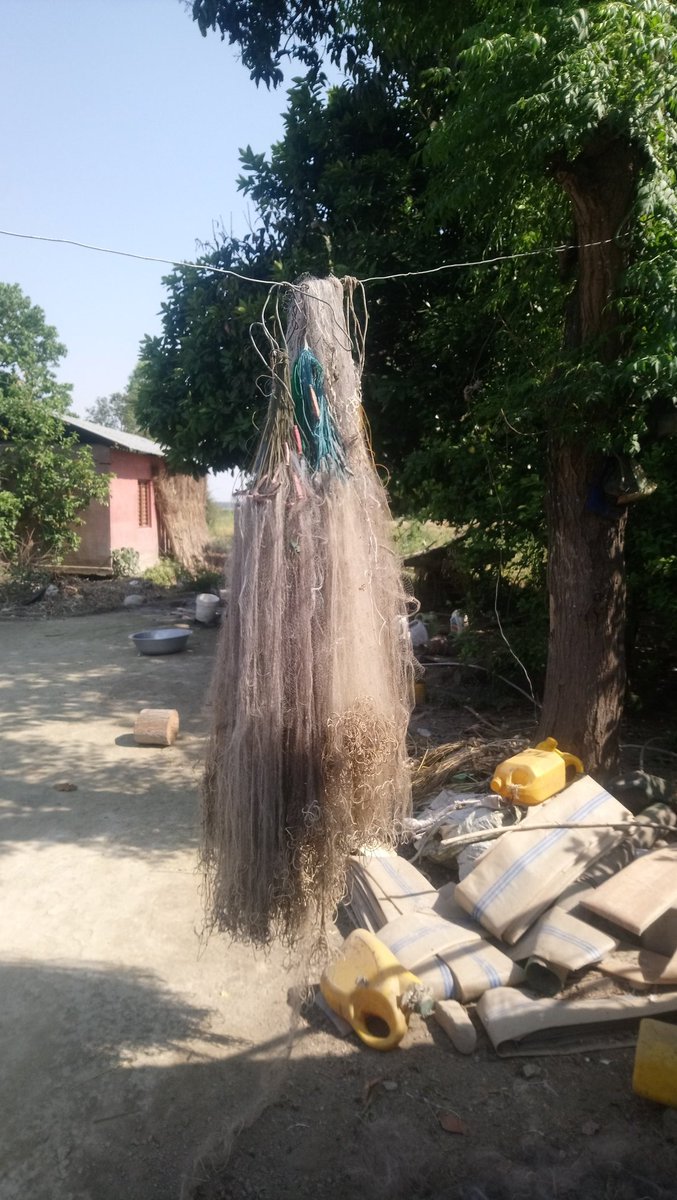 RiverDolphinNep's tweet photo. Our survey finally concludes today! Study this time consisted of Ganges River Dolphin estimation, fishers survey, and training local fishers to report their catch in the form of landing site survey. We cannot wait to analyze these interesting data!!!! @CLPawards
#WeAreCLP https://t.co/yMuu1mgIdX