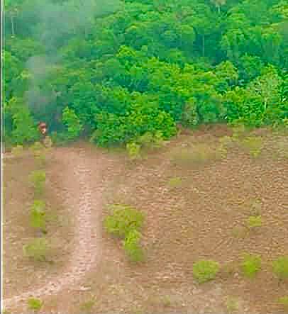 dhernandezlarez's tweet photo. En el municipio Pedro Camejo de Apure fue detectada por los radares del #SDT una aeronave hostil con transponder desconectado, sin identificación visible ni plan de vuelo, siendo declarada blanco de interés e inutilizada por violar la soberanía nacional. Es la nº 13 del 2023. https://t.co/btzEDkFJWm