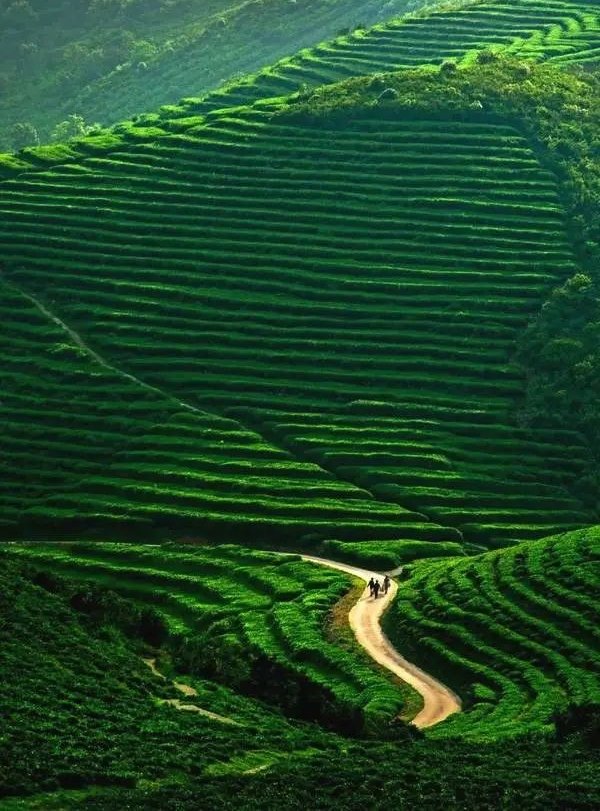 zhehua9's tweet photo. #amazing_view #China
家乡——安溪!
Hometown-Anxi! https://t.co/1XBvWORI7x