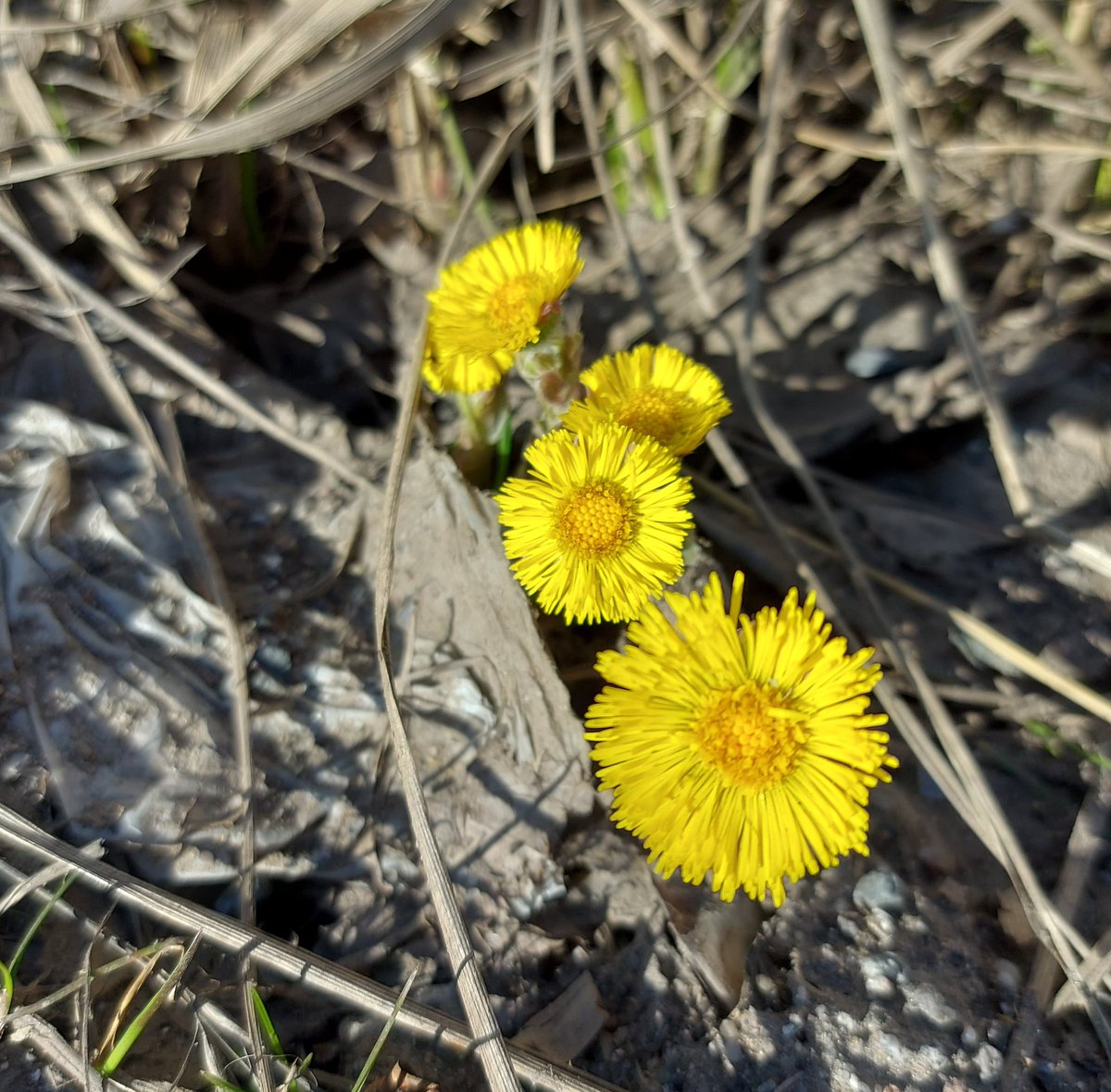 Good morning world💛