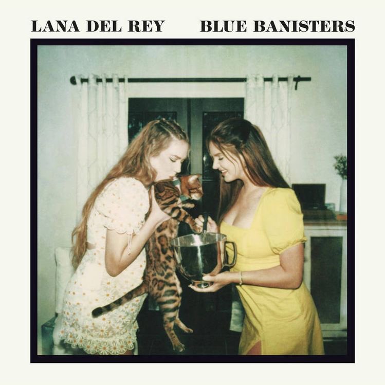 elif on Twitter "something so cute about blue banisters covers"