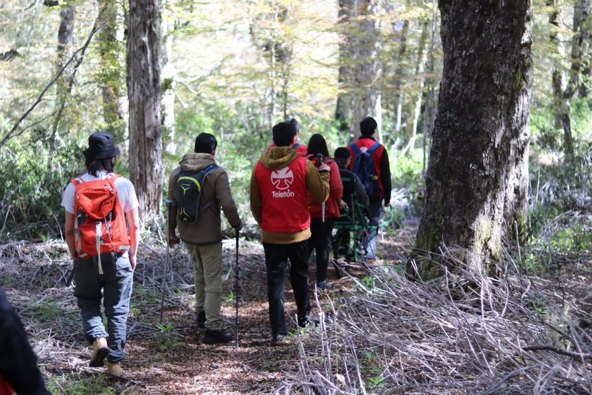 Gracias a un monociclo, cuatro jóvenes de <a href="/Teleton/">Teletón Chile</a> disfrutaron de la Reserva Nacional Mocho Choshuenco, ubicada en la comuna de #Panguipulli, quienes fueron guiados por guardaparques de <a href="/conaf_losrios/">CONAF Los Ríos</a>.  🌳

Leer más aquí: conaf.cl/conaf-los-rios…