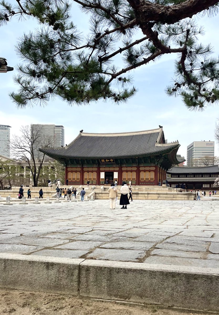 theomcx's tweet image. 2 mois que je voyage (Berlin, Norvège, Corée, Japon) mais j&apos;ai surtout découvert le fait de voyager seul et c&apos;est INCROYABLE

je me suis jamais senti aussi LIBRE, je vais où je veux quand je veux, je fais des rencontres improbables et j&apos;ai appris à apprécier ma propre compagnie🙏🏻