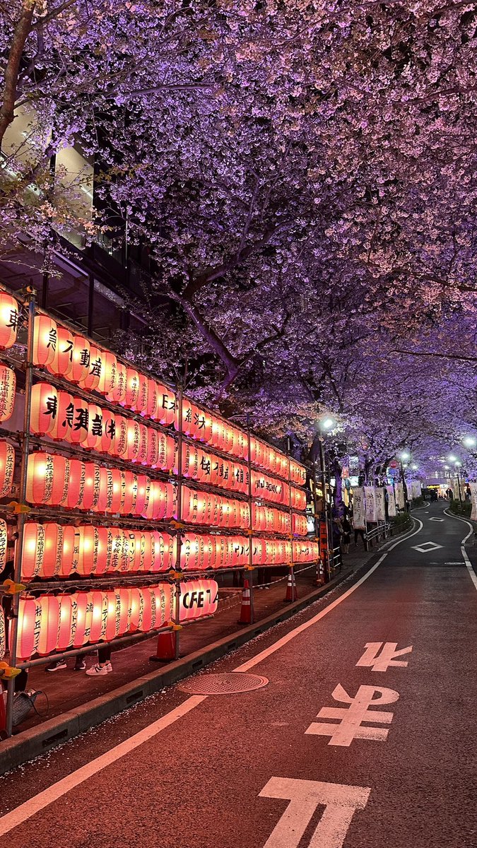 theomcx's tweet image. 2 mois que je voyage (Berlin, Norvège, Corée, Japon) mais j&apos;ai surtout découvert le fait de voyager seul et c&apos;est INCROYABLE

je me suis jamais senti aussi LIBRE, je vais où je veux quand je veux, je fais des rencontres improbables et j&apos;ai appris à apprécier ma propre compagnie🙏🏻