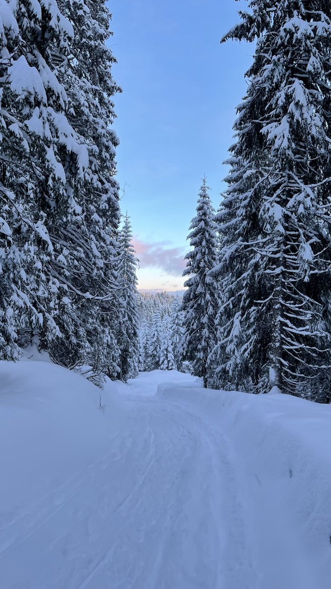 theomcx's tweet image. 2 mois que je voyage (Berlin, Norvège, Corée, Japon) mais j&apos;ai surtout découvert le fait de voyager seul et c&apos;est INCROYABLE

je me suis jamais senti aussi LIBRE, je vais où je veux quand je veux, je fais des rencontres improbables et j&apos;ai appris à apprécier ma propre compagnie🙏🏻