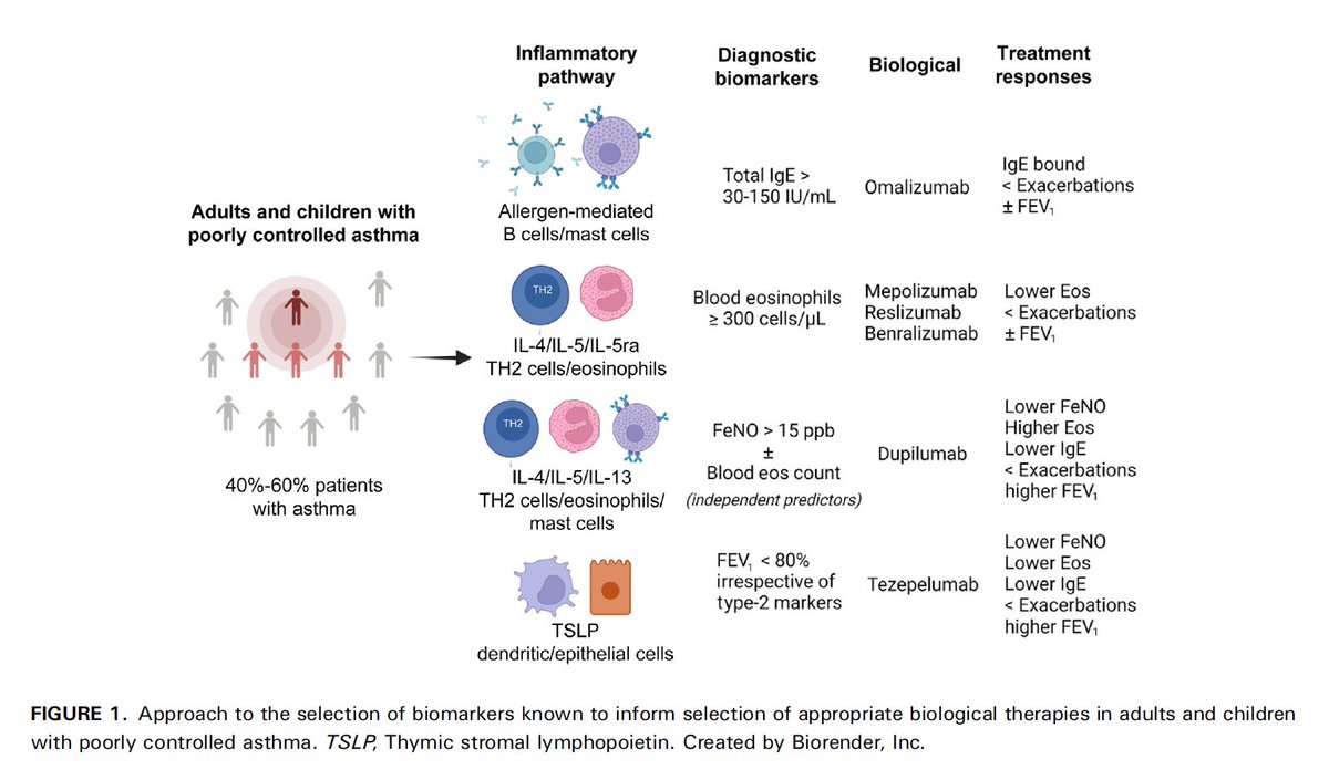 pulmonology101's tweet photo. @JACIInPractice Baseline #FeNO Predicts #Dupilumab Response in Patients With Moderate/Severe #Asthma independently of #eosinophil levels and other clinical characteristics. https://t.co/waNl7rkILL #asma @ginasthma @ALAT_Asma @AsmaSEPAR @gemasma @asthma_papers https://t.co/vYjbeI4RrZ