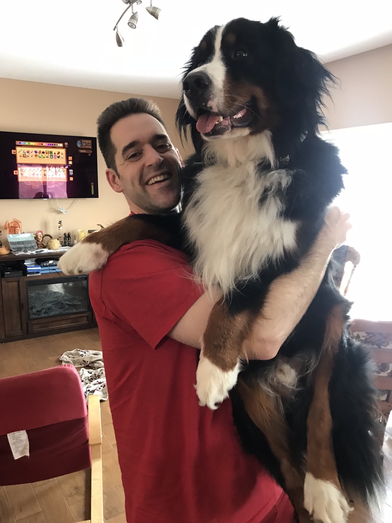 Hey!  It's HUG your dog day!

I ACTUALLY DONT LIKE HUGS BUNSEN

That's a great point.  There is a TON of evidence that many dogs DON'T like being hugged.

LETS GET TO IT

#HugYourDogDay