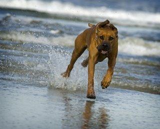 DoggoPy's tweet photo. Doggo Post: 7865
#gooddog https://t.co/vGXXYWqJFQ