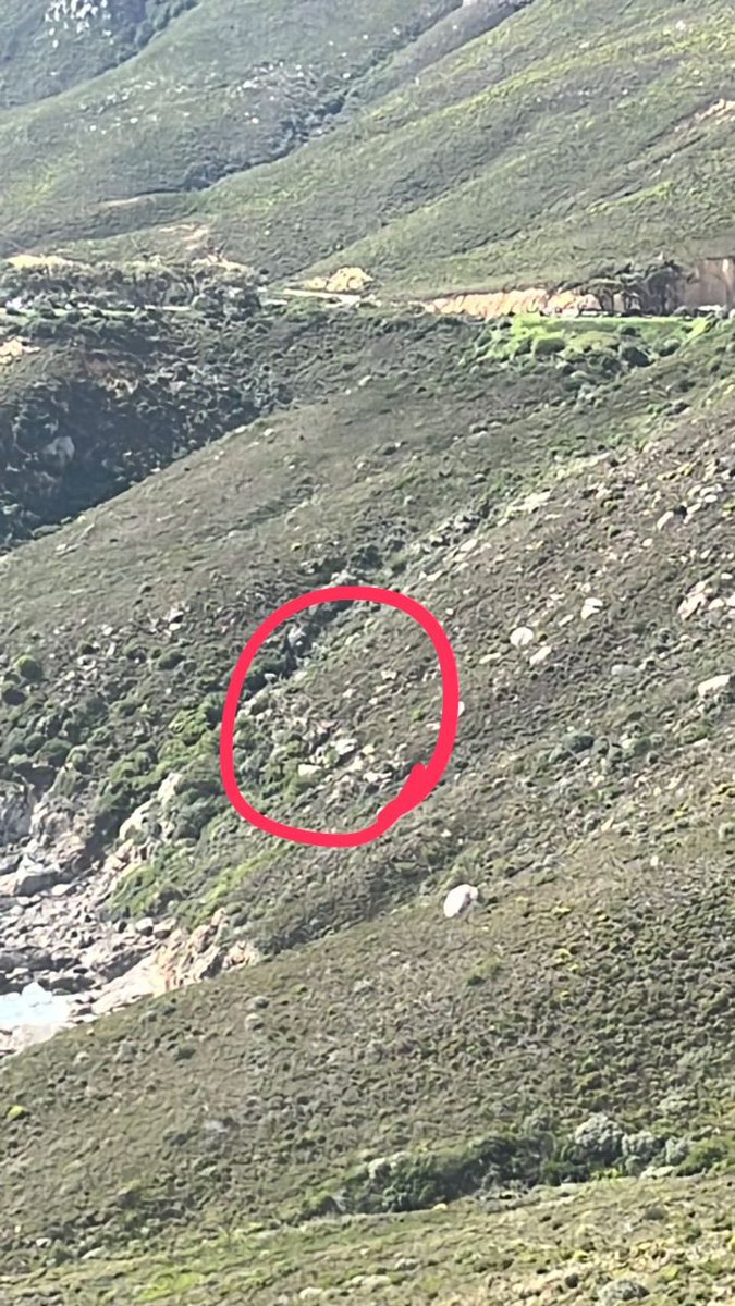 A vehicle has gone off the side of Chapmans Peak. Rescources being deployed. #ChapmansPeak #CPTTraffic