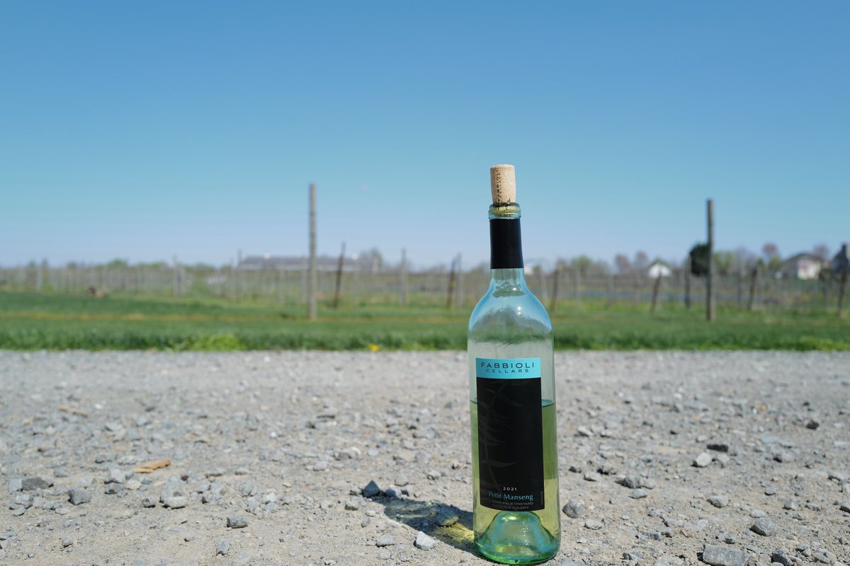 CellarBlog's tweet image. Spent part of our anniversary at @FabbioliWines. Always love catching up with Doug, we never fail to learn something from him and his 2021 Petit Manseng was the perfect lobster roll pairing. #vawine