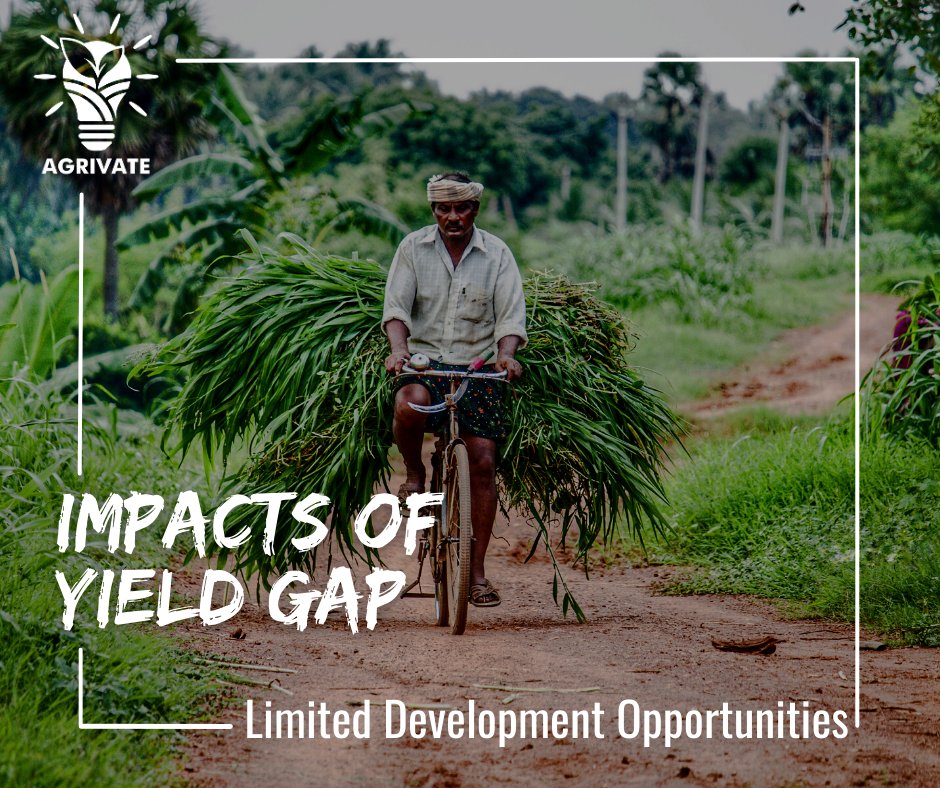 AgrivatePk's tweet photo. (1/2) The #yieldgap in #agriculture in #Pakistan, resulting from factors such as #limited access to #technology and #resources, has a significant impact on #rural #development. #Farmers in #ruralareas face #limitedopportunities for #growth and development due to #lowproductivity https://t.co/ShMuEa8IYm