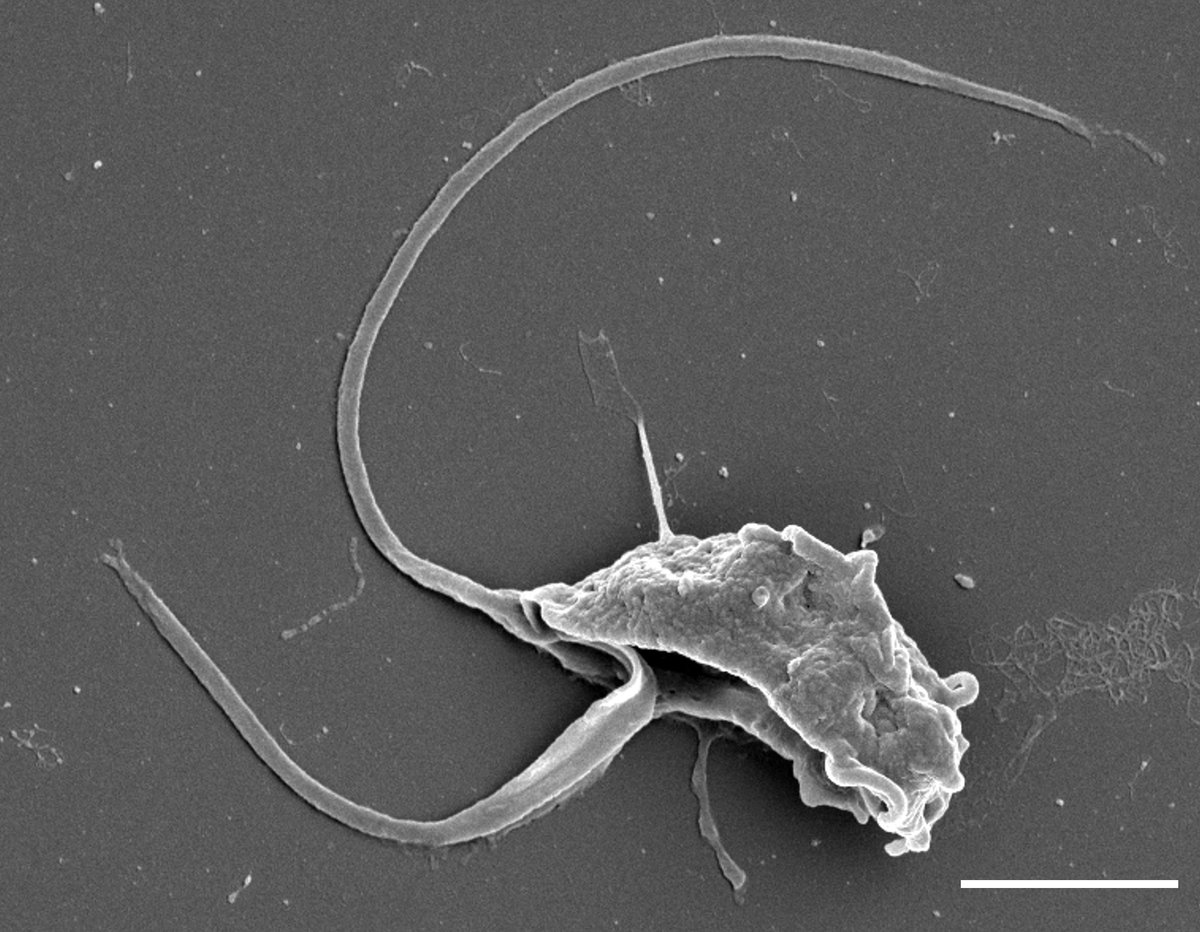 Luis Javier Galindo tweet media