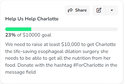 PalsCats's tweet photo. #PALSFam🐈is showing OUT! In FIVE DAYS, we are at almost 25% of our $10,000 goal! 

Visit https://t.co/FkxhRrF4CT to track our progress
Visit https://t.co/c5mU8J1muc to find all our donation links

#ForCharlotte https://t.co/0YXt9THF5Z