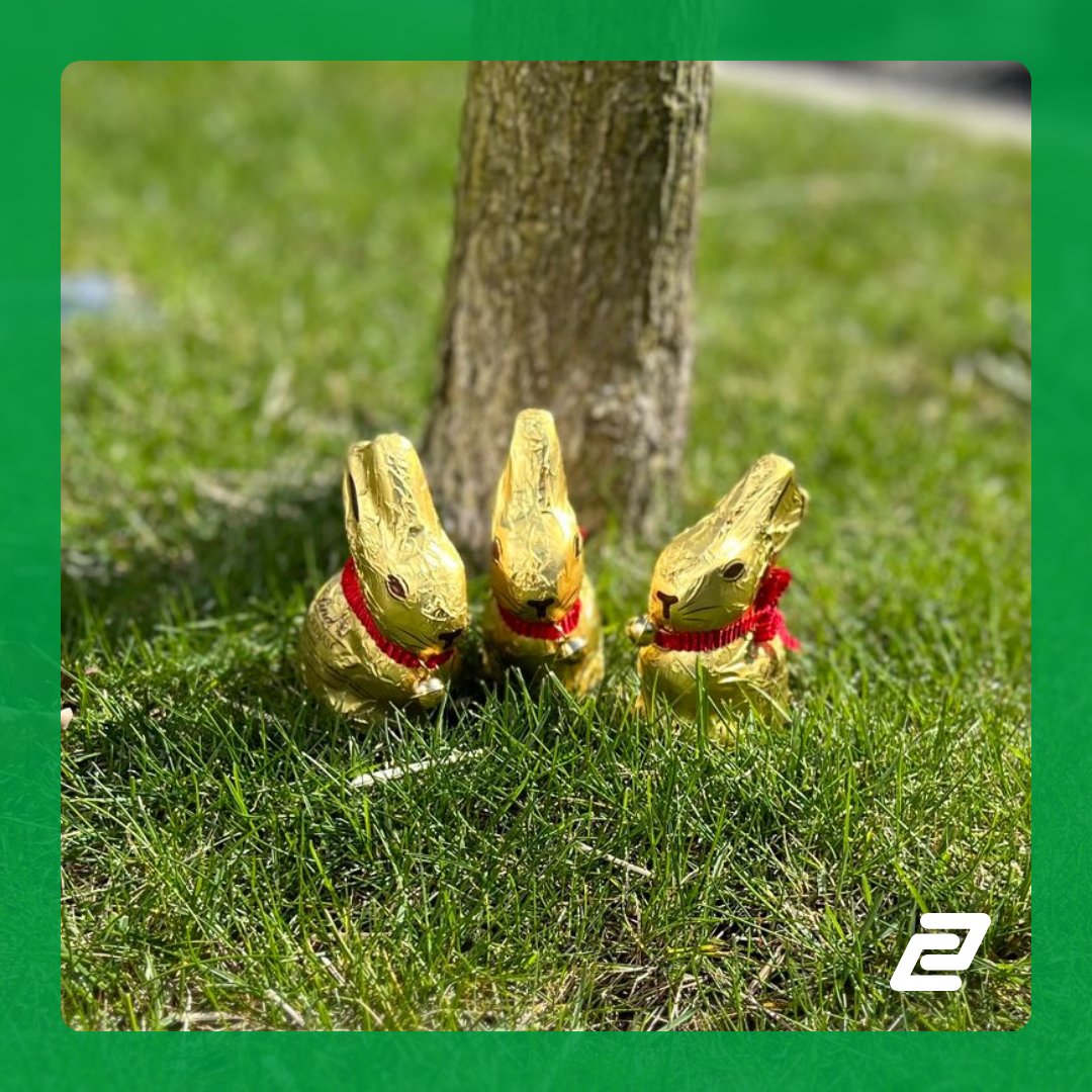 Draußen grünt und blüht es, die #Sonne scheint ein bisschen kräftiger – das macht Hoffnung! Wir wünschen eine wunderschöne #Frühlings- und #Osterzeit. 

#contaclip #ostern #osterhase #ostergrüße #feiertage