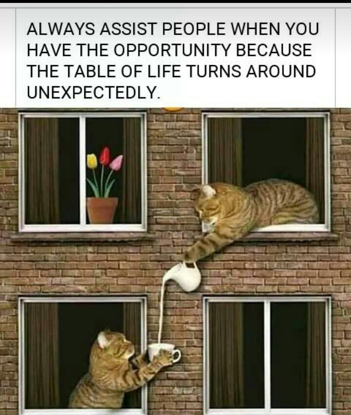 Harmony Maasai Mara (@harmonymaasai) on Twitter photo 