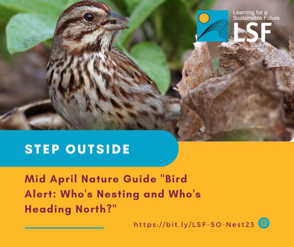 LSF_LST's tweet image. #StepOutside with our Mid-April Nature Guide "Bird Alert: Who's Nesting and Who's Heading North?" Now on #R4R

bit.ly/LSF-SO-Nest23