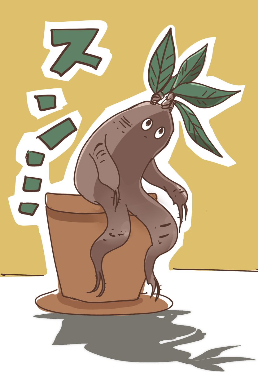 ここ2日間ぐらい、何かワクワクすることしたいなぁ…と考えていたけど、なんっっっも思いつかんかった😇
イラストは全然叫ばないマンドラゴラ（マンドレイク）です🪴 https://t.co/8EtPoUHs1Q