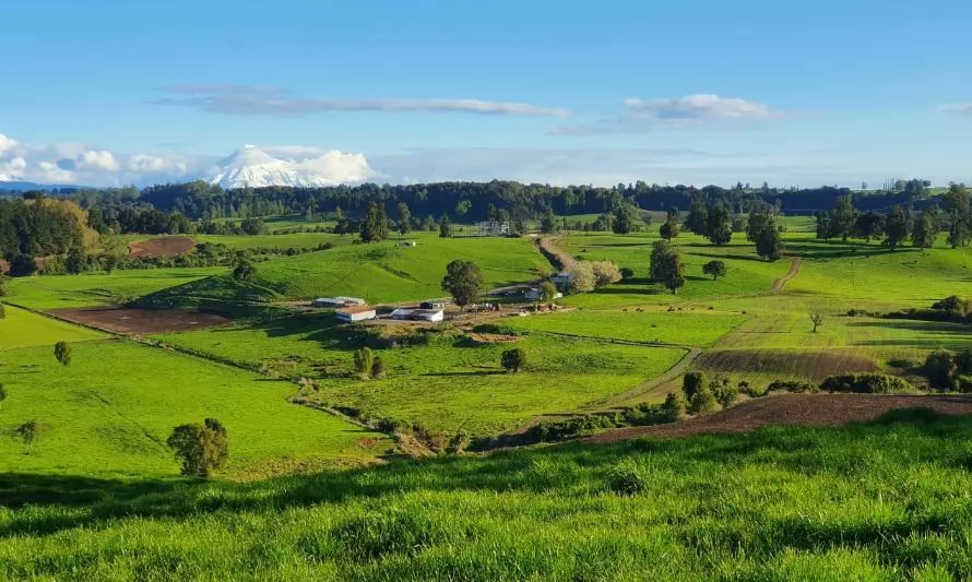 Con ofertas especiales y demostraciones en vivo Field Days Chile celebra sus 10 años  tinyurl.com/29zeussj