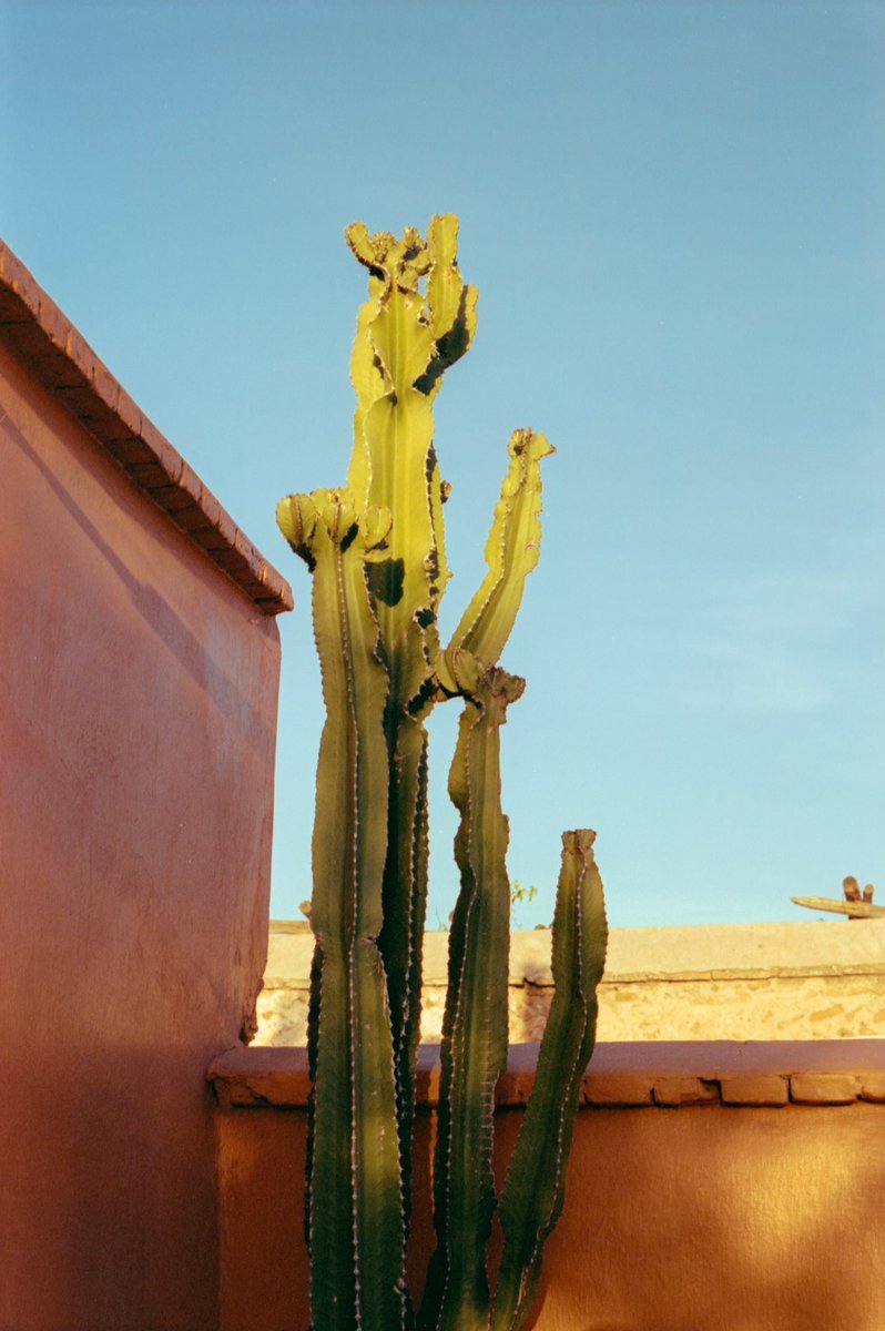 lightistic's tweet image. moroccan light on 35mm