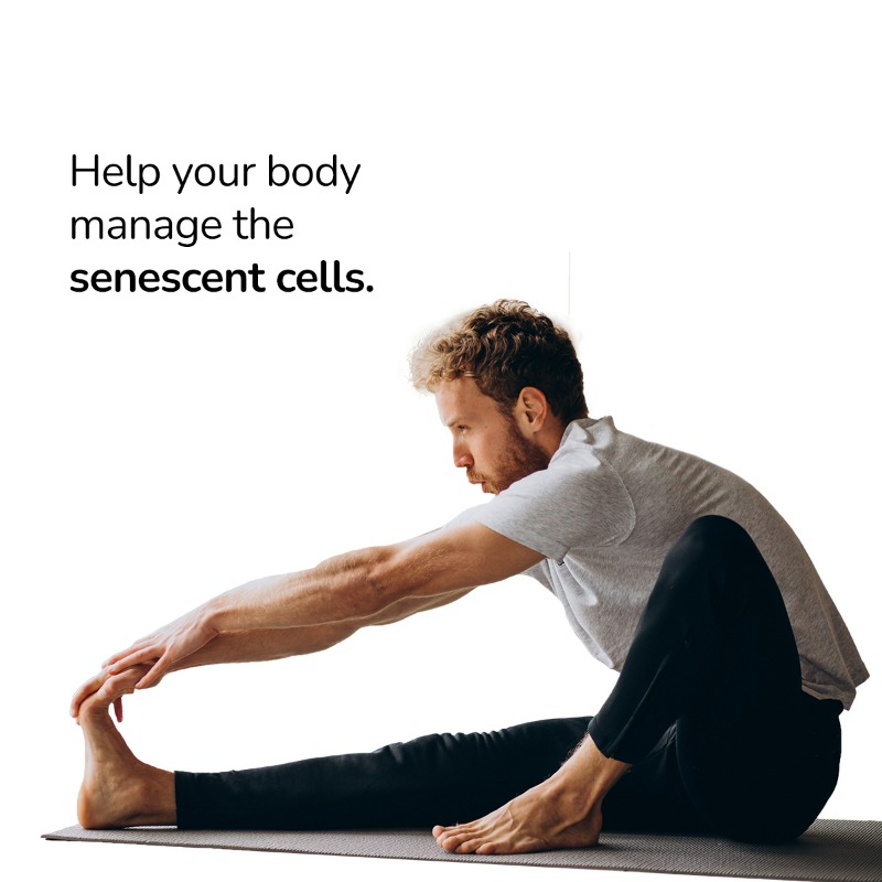 DecodeAge's tweet photo. Revitalizing your cells: Explore the functions of Senolytic Activators in promoting healthy aging!
Know more: https://t.co/GUGLsXXy0e
#SenolyticActivators #HealthyAging #HealthyLiving #Longevity #HealthyAndWellness #CellularHealth