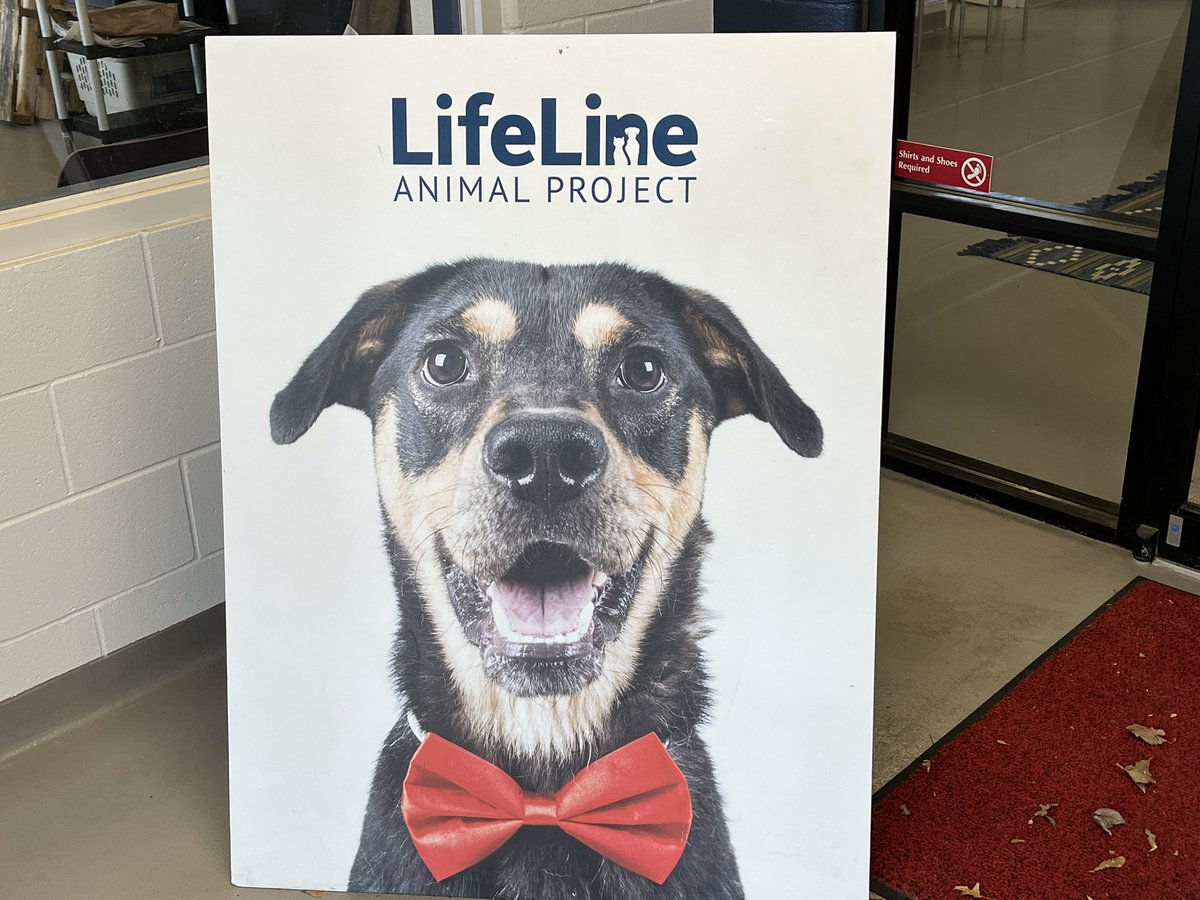 FGTV's tweet photo. @WalkingDead_AMC #ChristianSerratos supports the work of @ALDF & @LifeLineAnimal. @FultonFilmsGA #FilmedInFulton https://t.co/cQsvQCs1eL