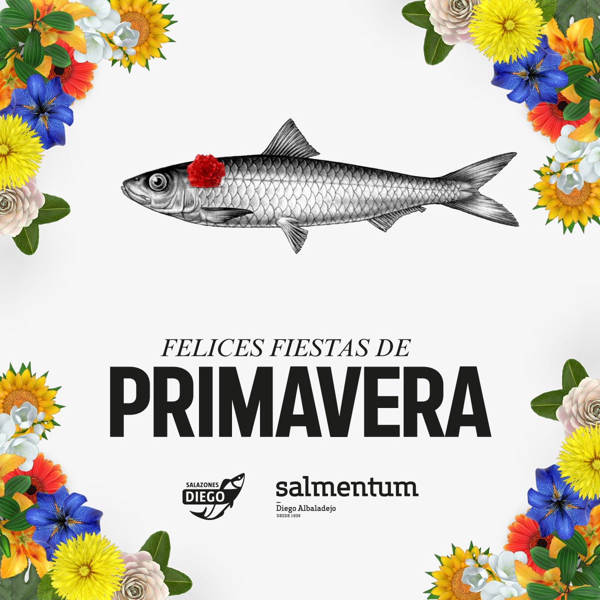 Salazones Diego (@salazonesdiego) on Twitter photo 