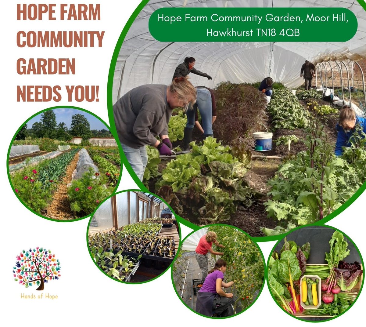 HandsofHopeUK's tweet image. **Why not get outside this summer? Meet other people from your local community?* *Share gardening skills and learn new ones?*
*Support a local charity with some of your time?**

There’s something for everyone to do at Hope Farm Community Garden. Contact info@hohcharity.co.uk