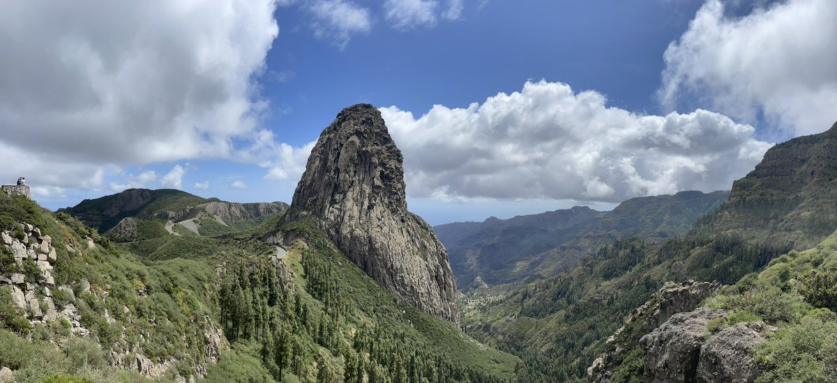 Andrew Ellis Evans tweet media