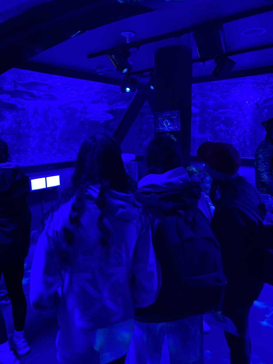 Ricky Ski Team 🎿 tweet media