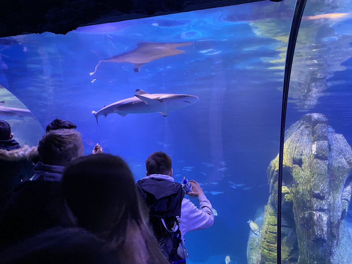 Ricky Ski Team 🎿 tweet media