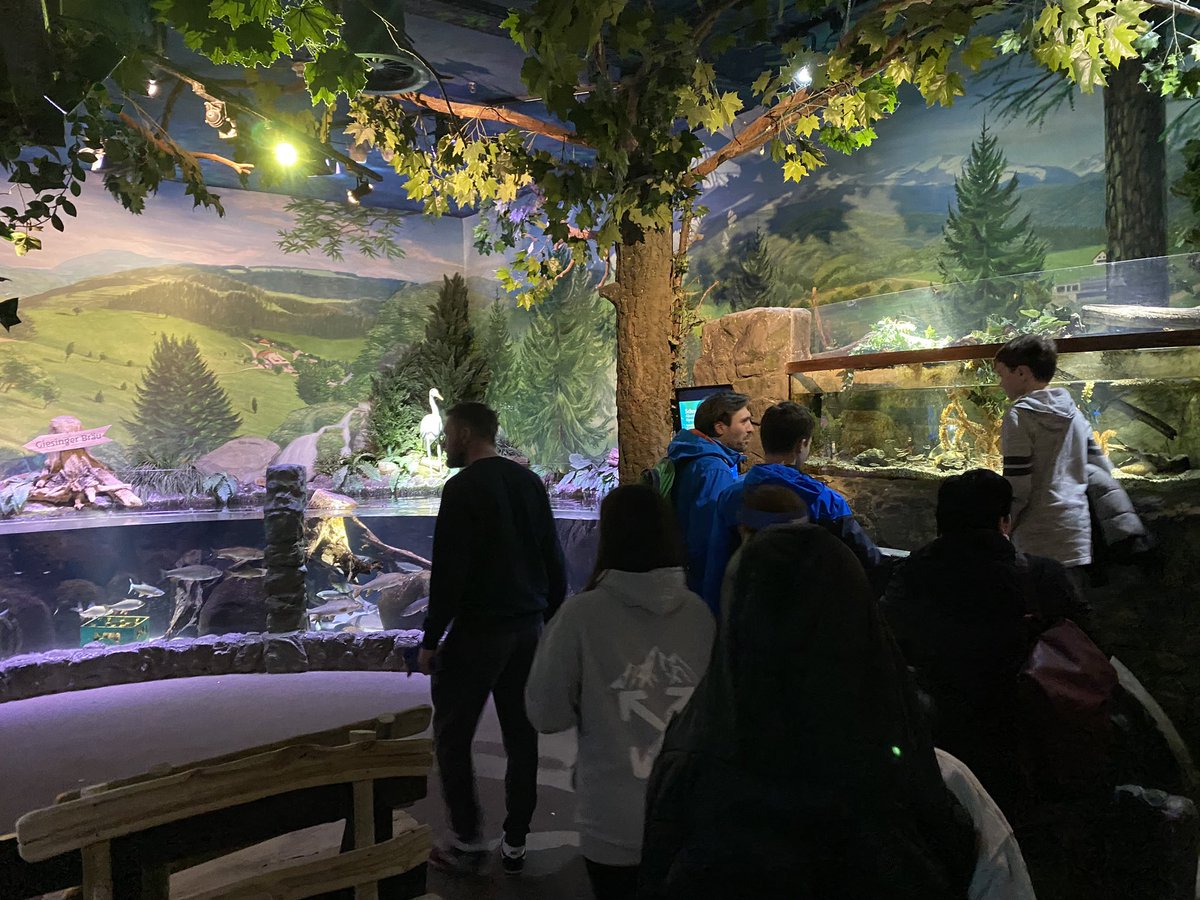 Ricky Ski Team 🎿 tweet media