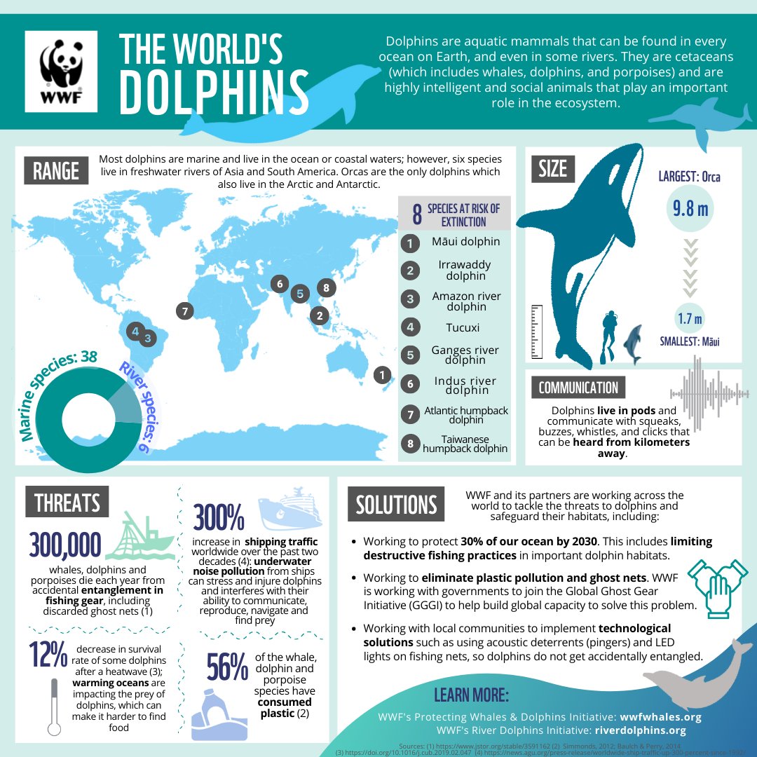 WWF_Whales's tweet photo. This Friday is #WorldDolphinDay 🐬

To celebrate 🎉 we will be sharing content throughout the week.

Did you know 🤔 that there are 38 species of #marine dolphins and six species of river dolphins found across the world? 🌍 https://t.co/fqUSOrvsQX