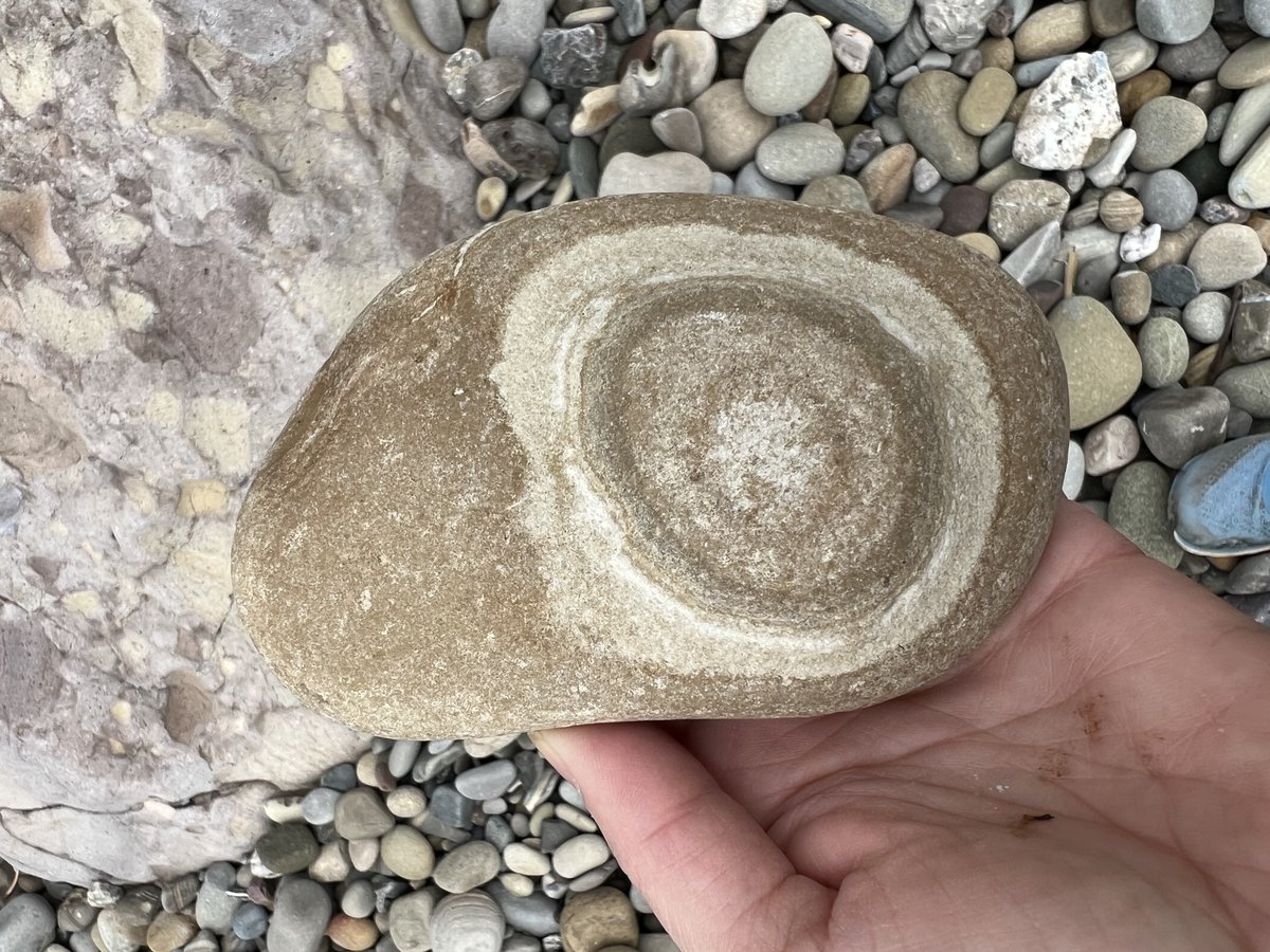 My research in beach rocks: bike seat, point pattern, kernel density estimator, hot spot.   #GIS #geography