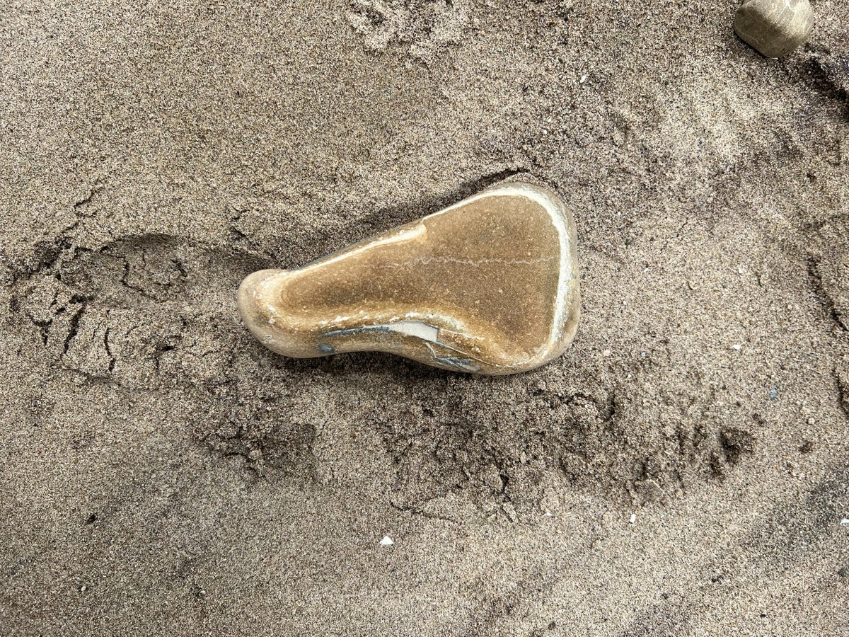 Trisalyn Nelson tweet media