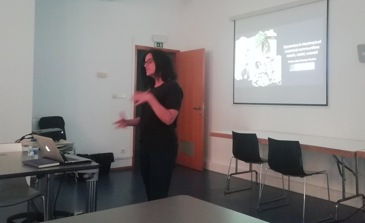 José A. Alves tweet media