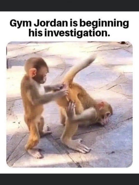 gothicchi's tweet photo. @Jim_Jordan Oh look, Gym is investigating https://t.co/cK6aupxqVs