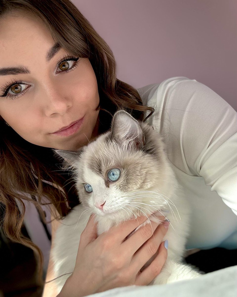 RagdollsClub's tweet photo. Ragdolls are always beautiful ❤️
#ragdolllove #ragdollbreed #ragdollovers
#ragdollcats #ragdollsofinsta #ragdollcross #ragdollcatlovers #ragdolllife
#ragdolladdicted #ragdolls
#ragdollclub #ragdollsofinsta
#ragdollcatsworldwide #ragdollbreed #ragdollsofinsta #ragdollstagram https://t.co/Mv87wg8rnU