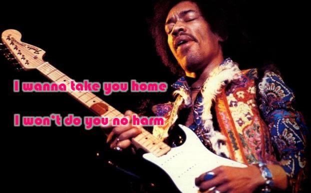 Michael Noback tweet media