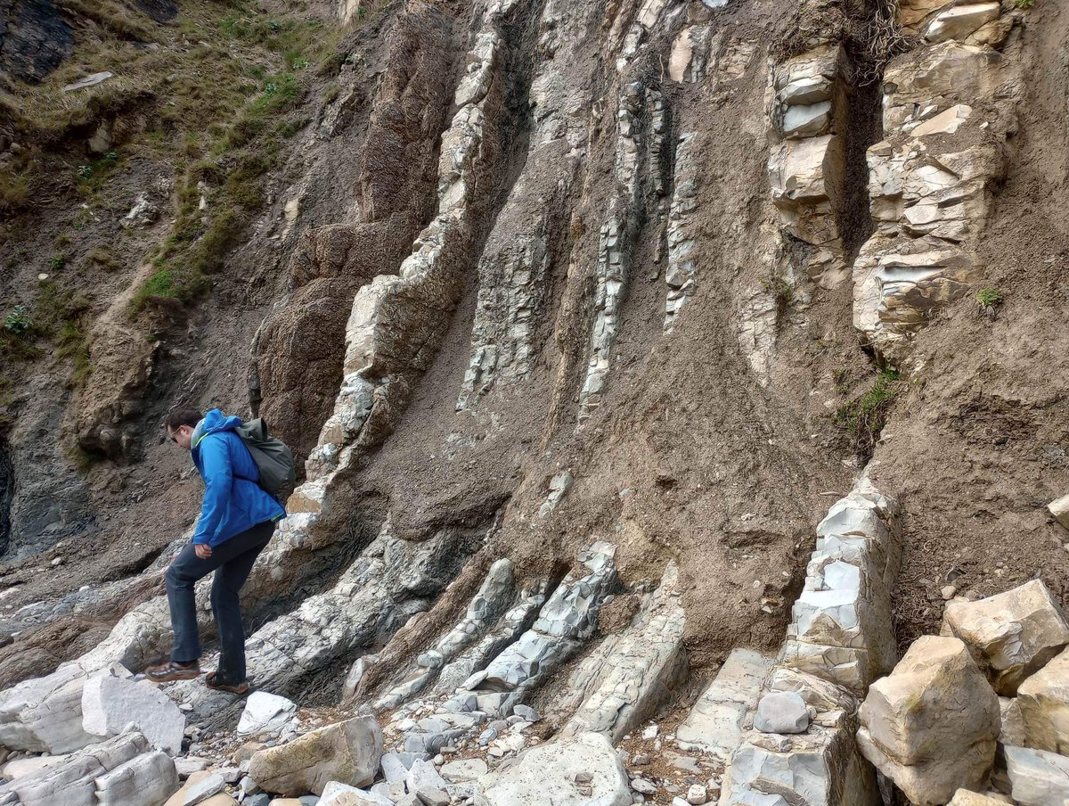LouisKinnear's tweet photo. Swapped Cyprus this year for the (arguably superior) Jurassic coast. Complete with friendly mocking for my over-enthusiasm #geology #fossils #lulworthcrumple https://t.co/cbmwnz7hkL