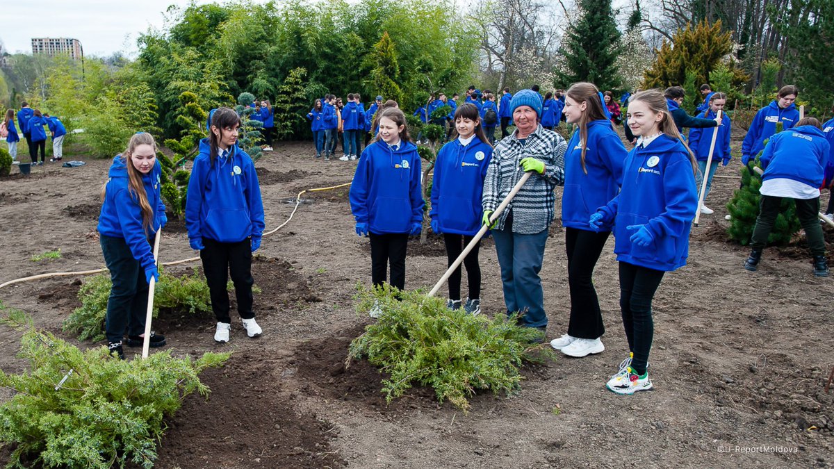 U-Report tweet media