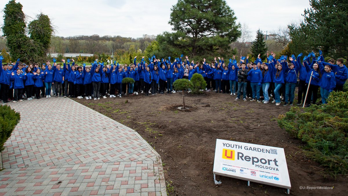 U-Report tweet media