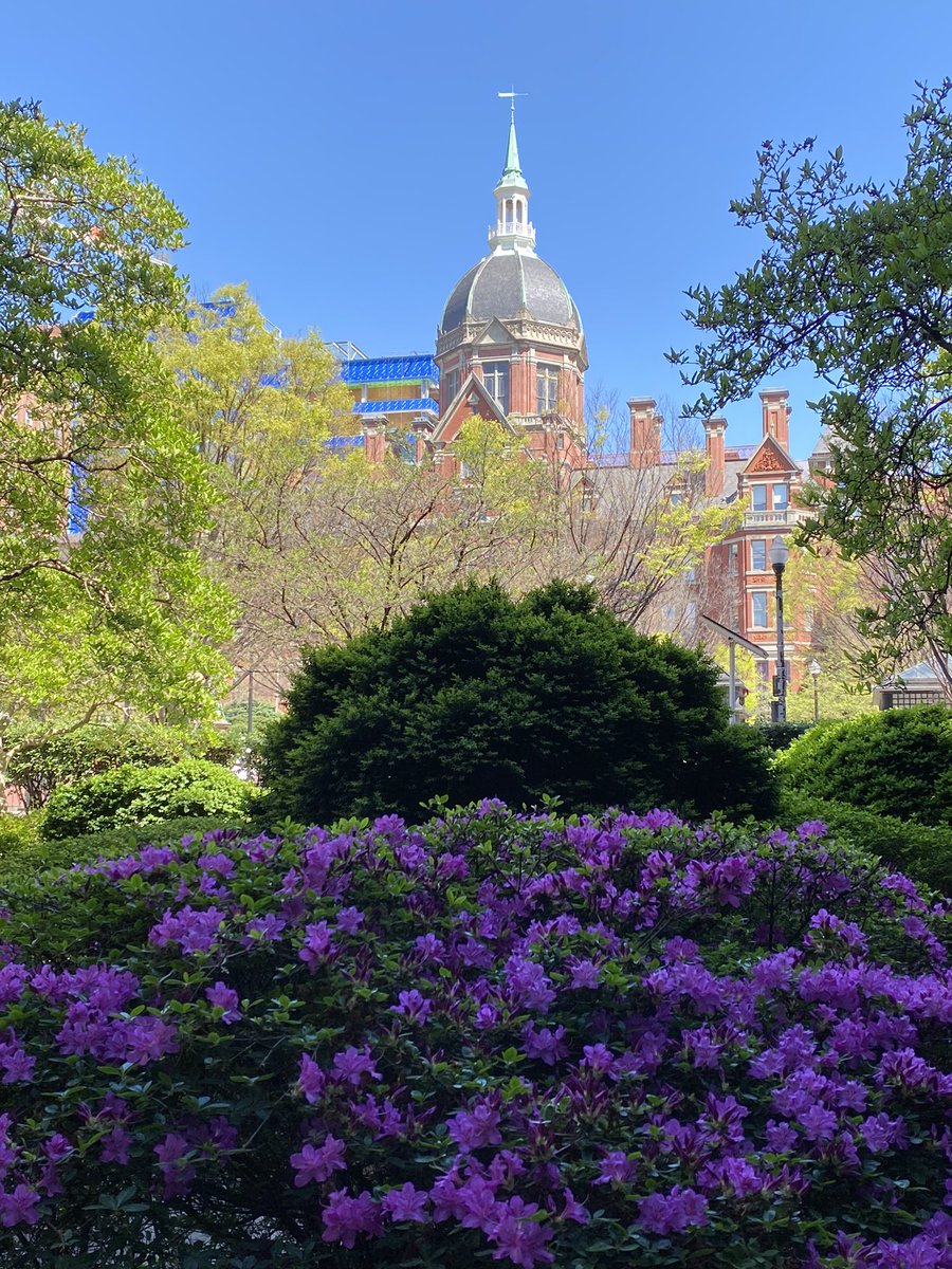 One of my favorite views of the Dome @HopkinsMedicine