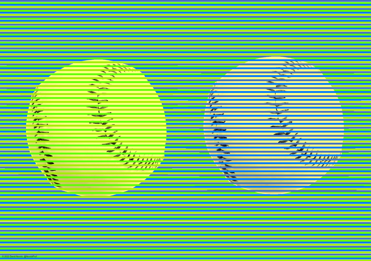 David Novick tweet media