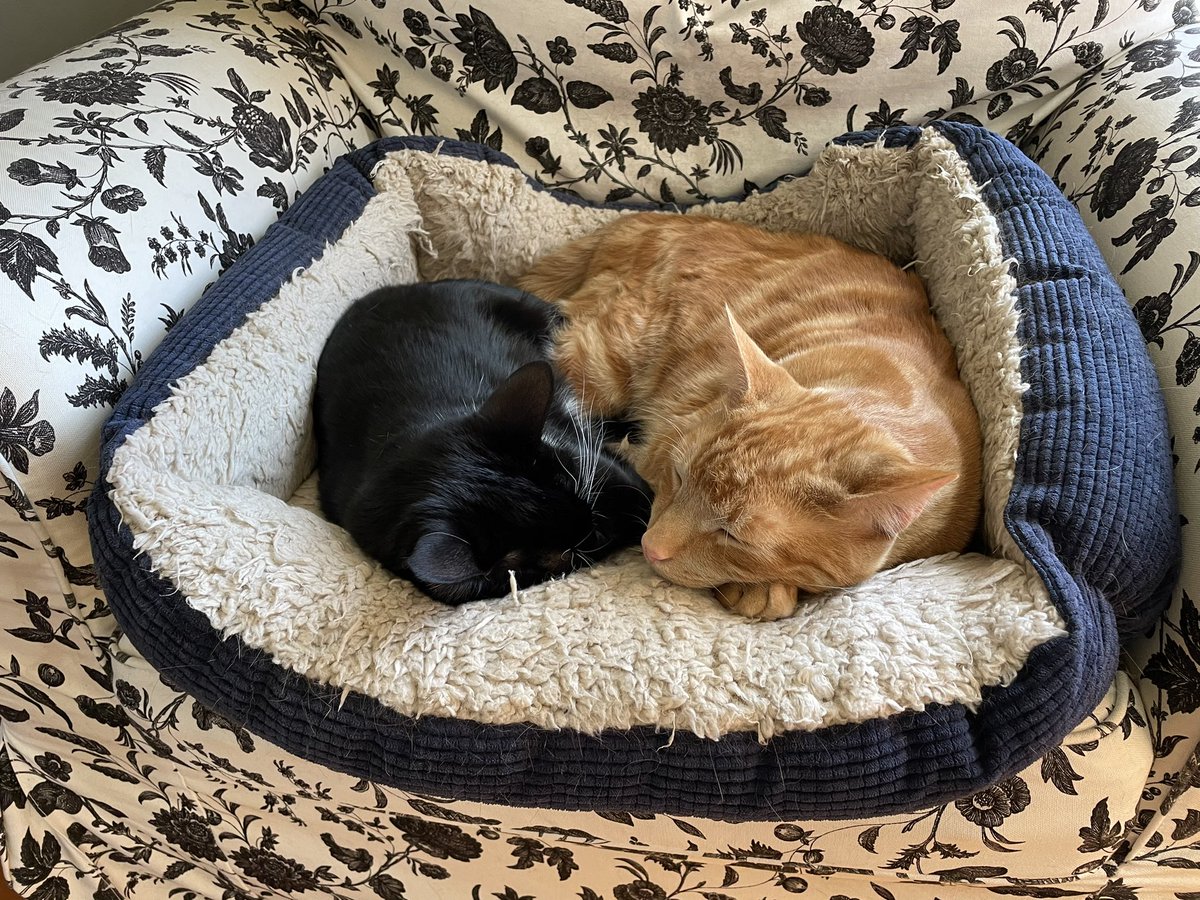 Boston Biotech Forum (@bosbiotechforum) on Twitter photo 