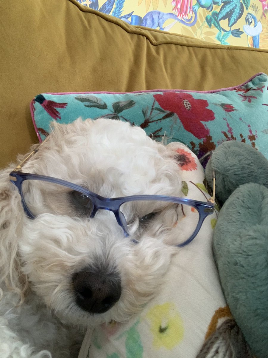 Regarding my last tweet chums, some peeps need specktagals, I am going over a real bridge, not a rainbow one. Flipsake mees only 4! Mum’s phone is nearly exploding.