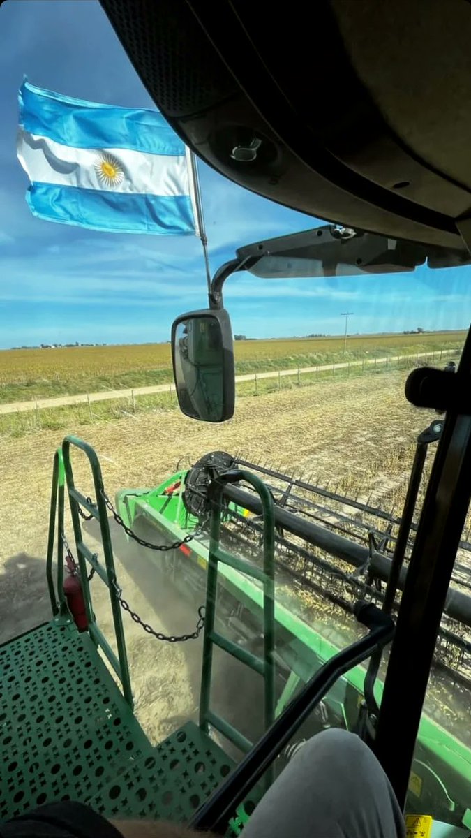 Arrancando el lunes #soja #campoargentino