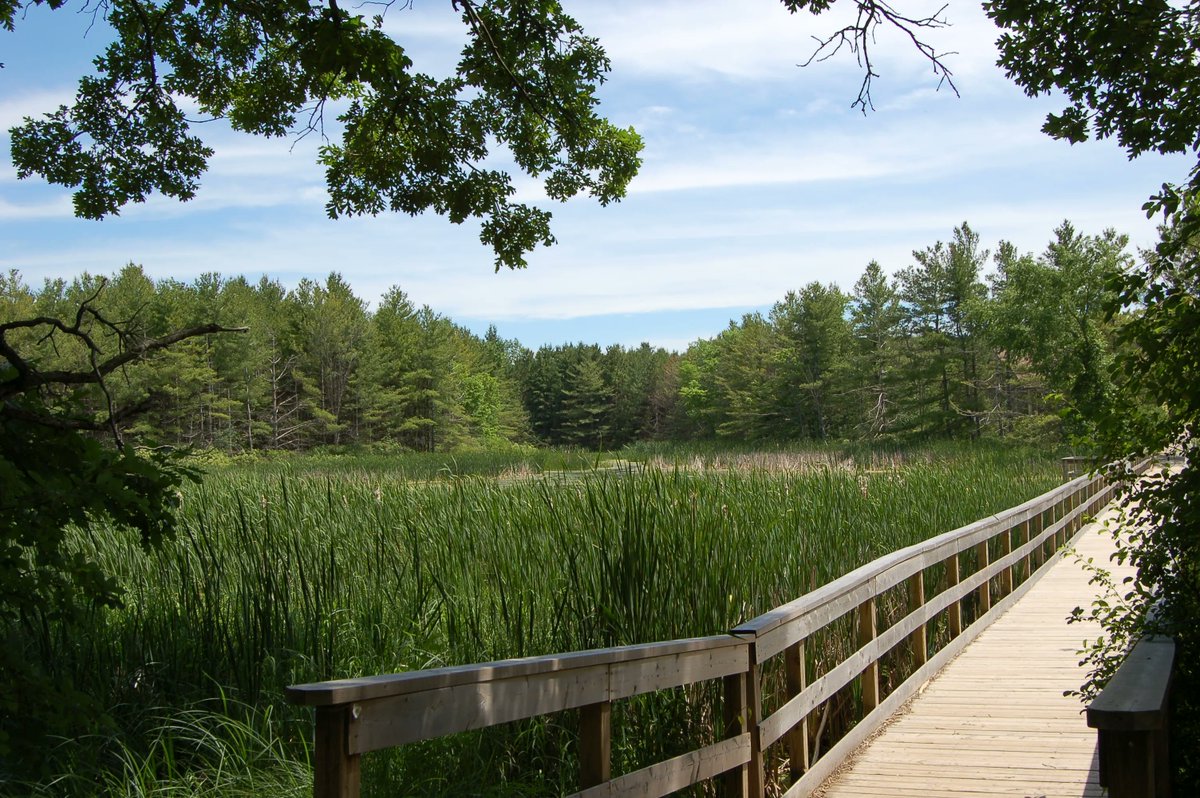 Who's feeling excited about the sunshine and warm weather coming this week? We sure are here ☀️

Next time you visit, be sure to check out Little Cataraqui Creek - which is just a 5 minute drive from our front doors and is definitely worth exploring during the springtime.