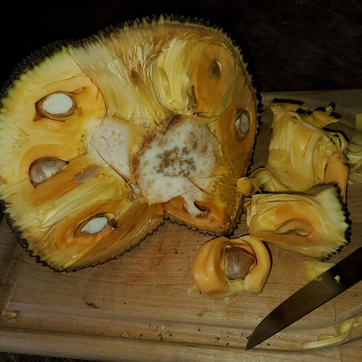 Jackfruit is the world's largest tree fruit, can grow up to 100 pounds and is packed with nutrients
This tropical fruit is also a great meat substitute for vegans and vegetarians due to its 'meaty' texture

Found in Asian stores in USA