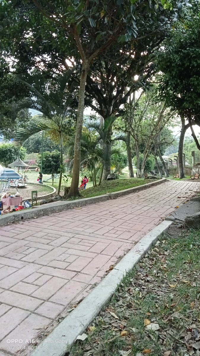Porque me gusta mucho este lugar porque en el puedo ser libre,tener la paz,el amor y sobre todo despejar mi mente