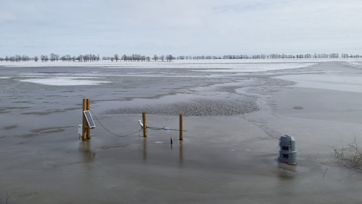 #Weather events that trigger #flooding of agricultural fields and roadside ditches are also responsible for significant #phosphorus losses. Read our latest article here:
tandfonline.com/doi/full/10.10…
#waterquality #runoff #redrivervalley #hydrology #watermanagement